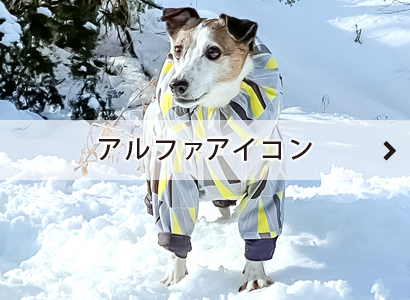 いぬのグッズショップ バウバウ いぬのグッズショップ バウバウ