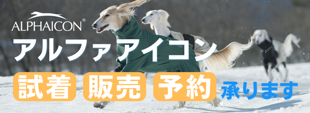 a.png